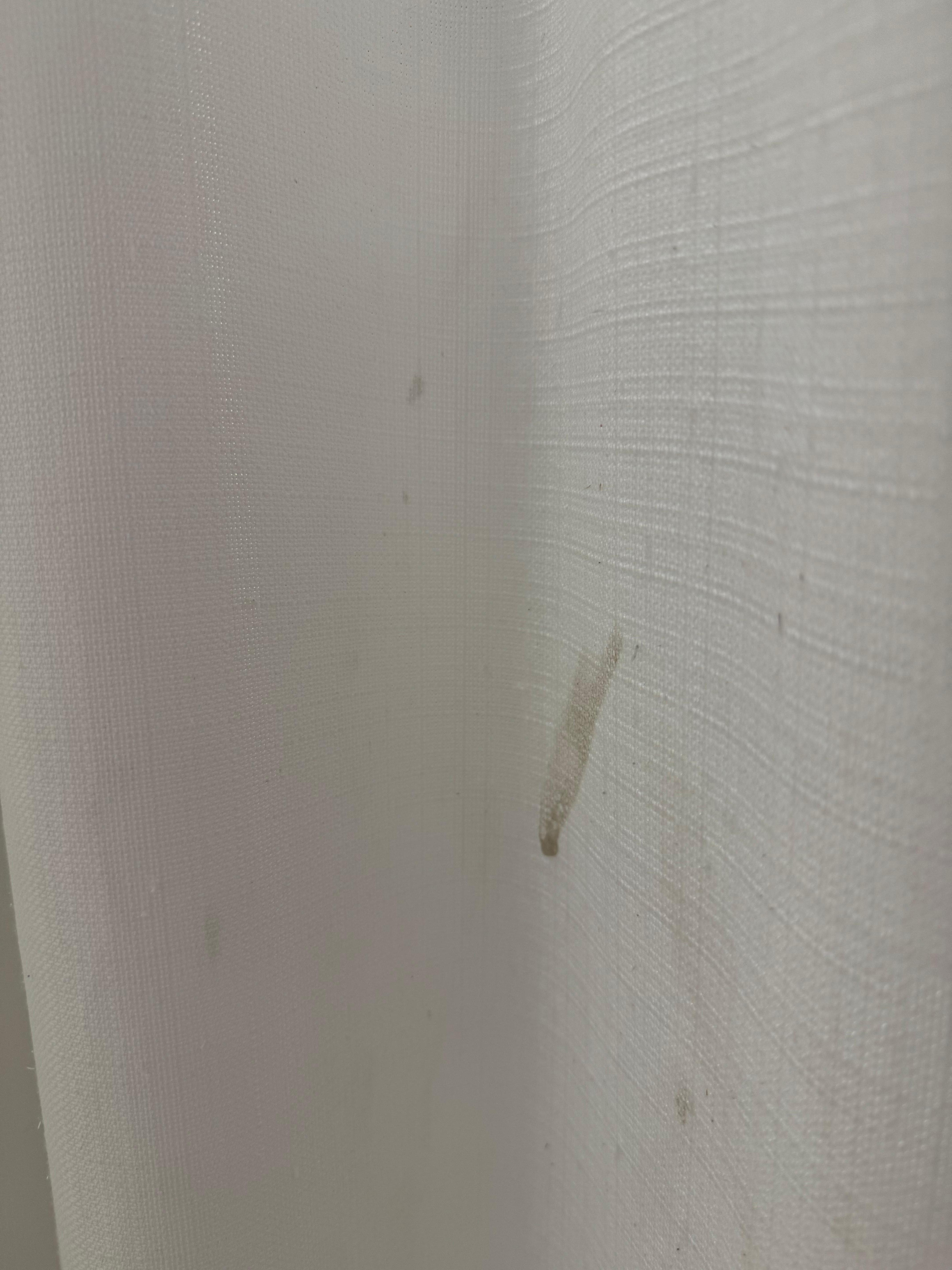 Gross goop on shower curtsin