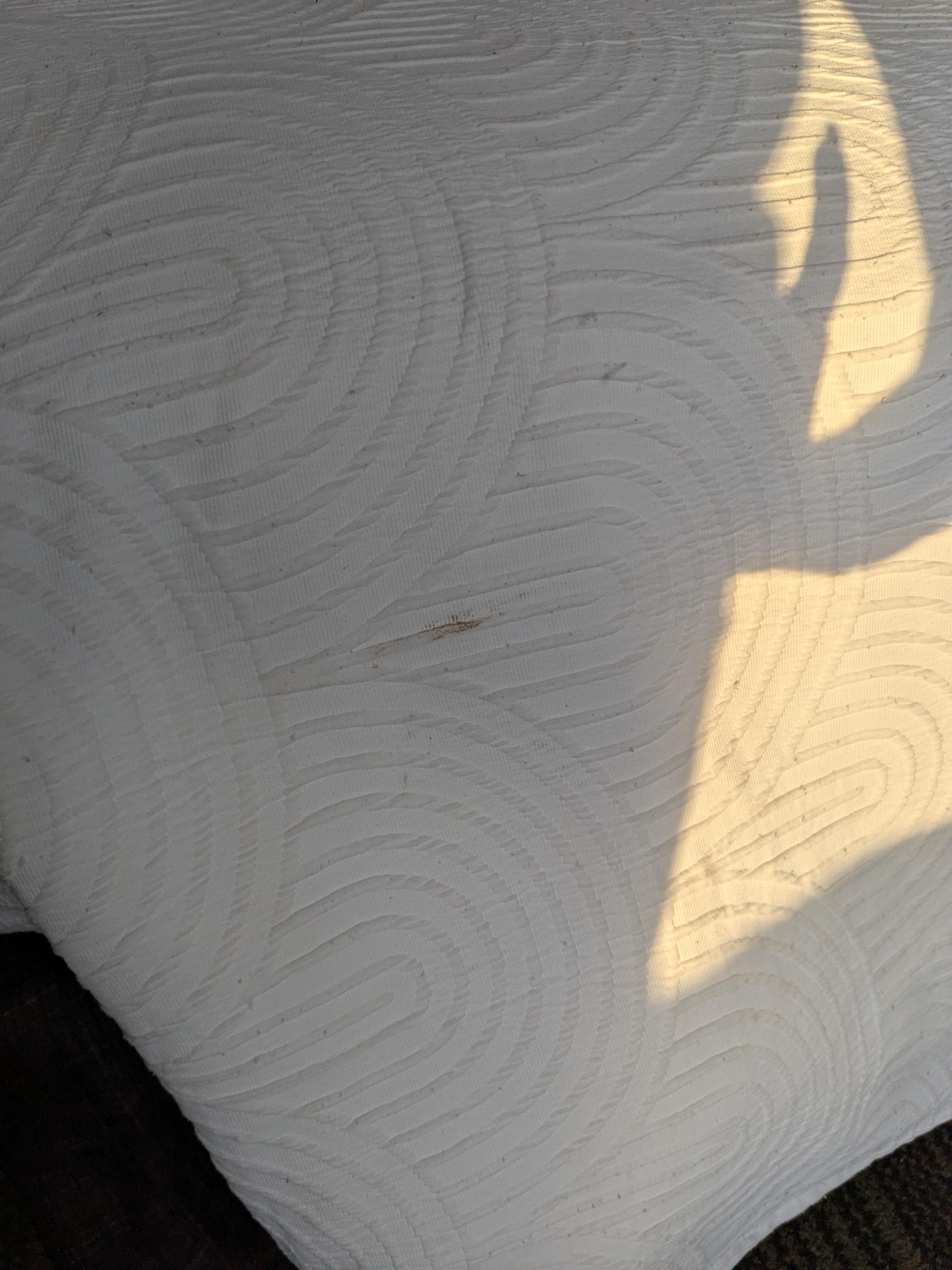 Stain on bedding 