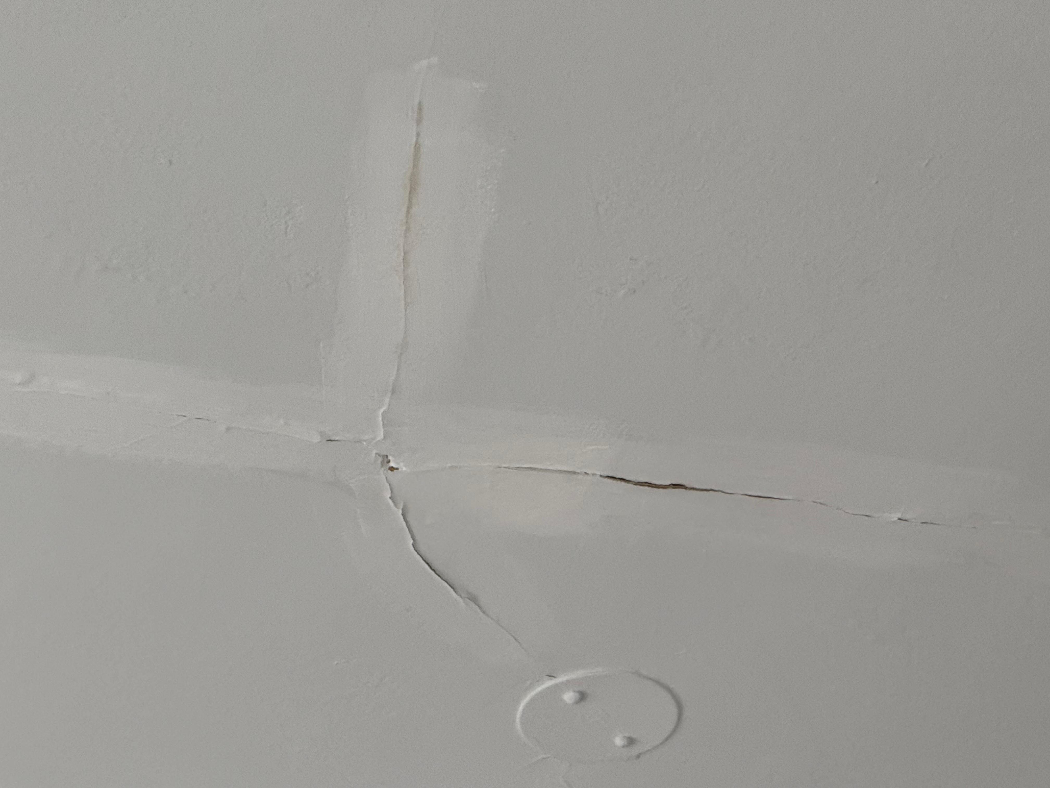 Ceiling needs attention 