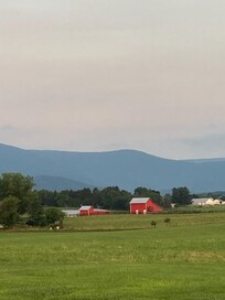 View from the property driveway