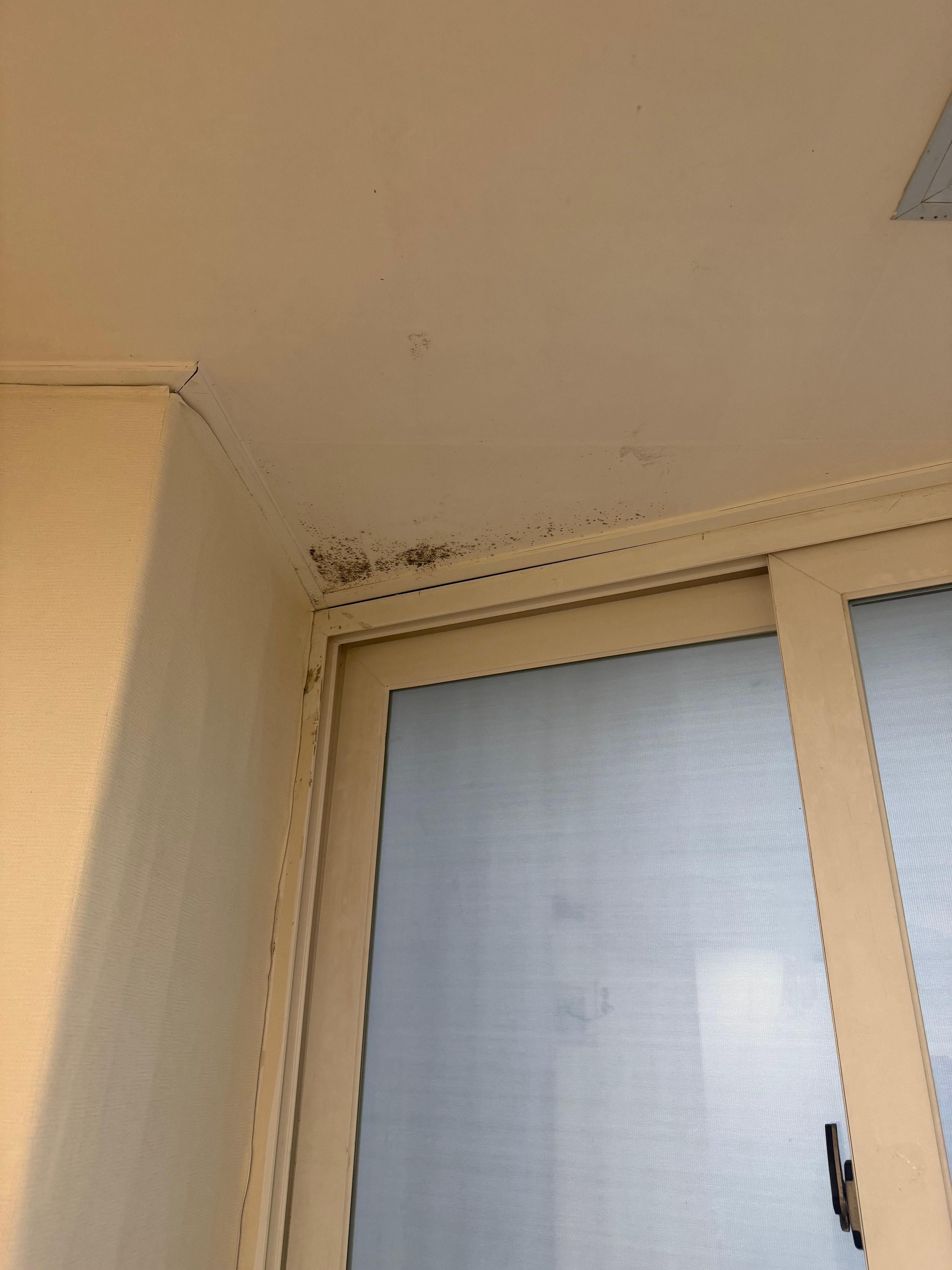 Possibly mold or mildew. 