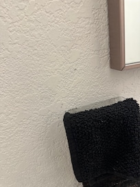 Trial of ants