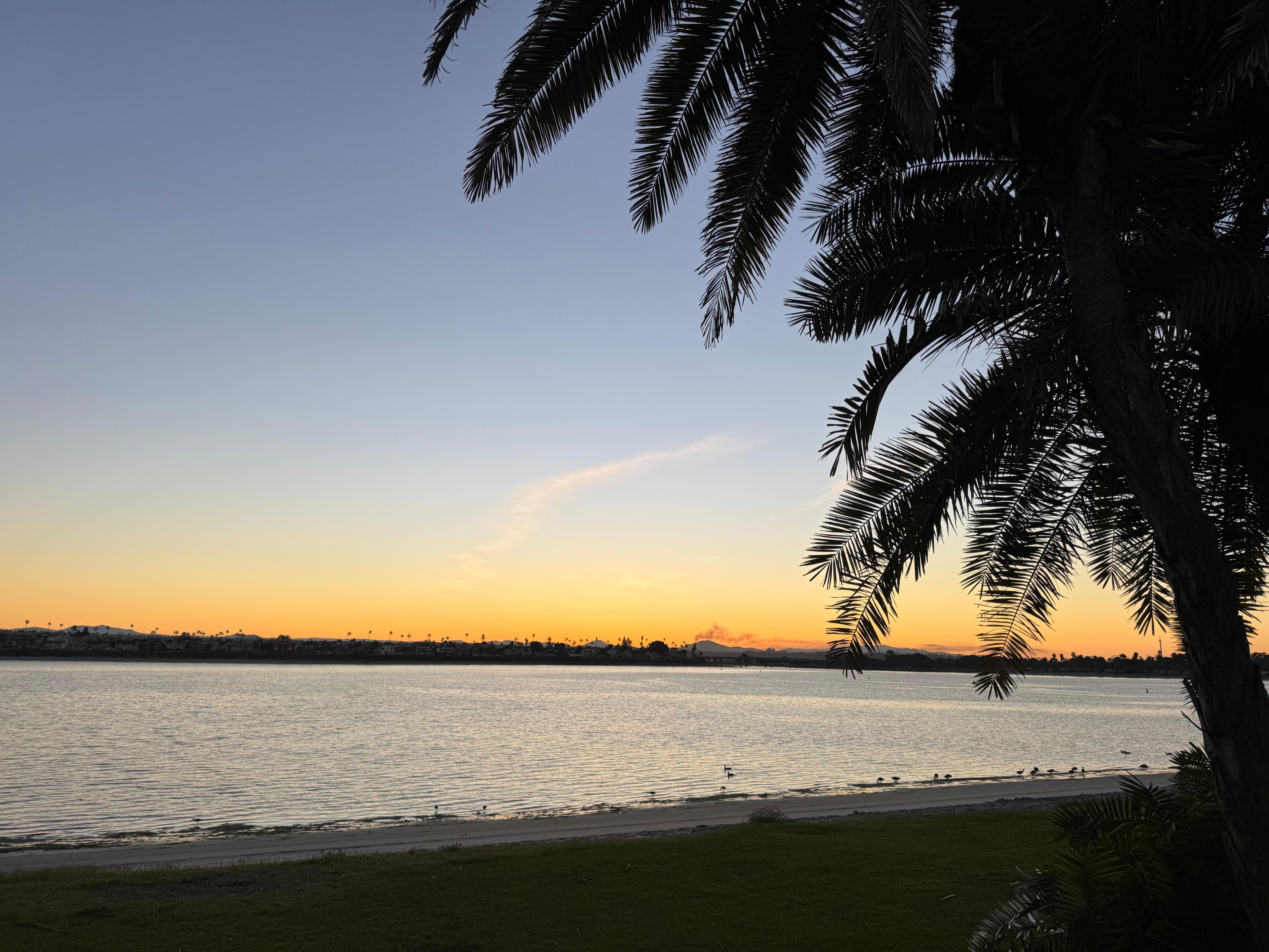 Sunrise from bayside 