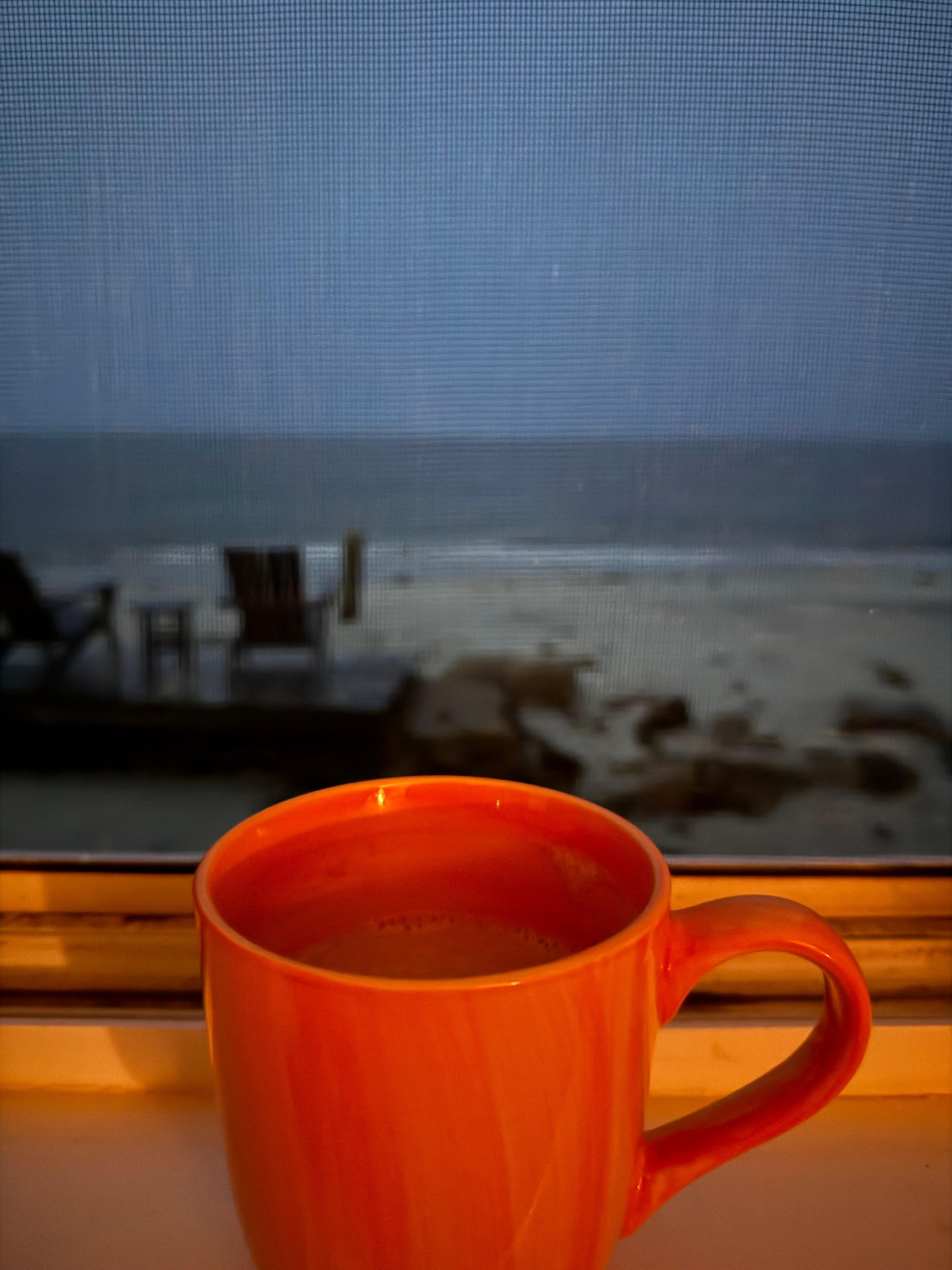 The view from the cottage.