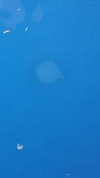 Drüber Pool
Andere Bilder nach rechtlicher Prüfung