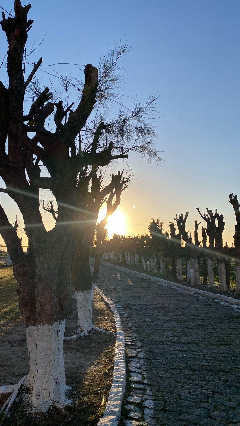 Nascer do sol nos jardins!