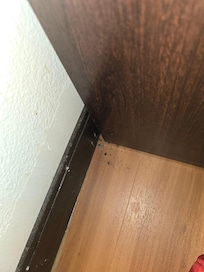 Dirt looked like ashes