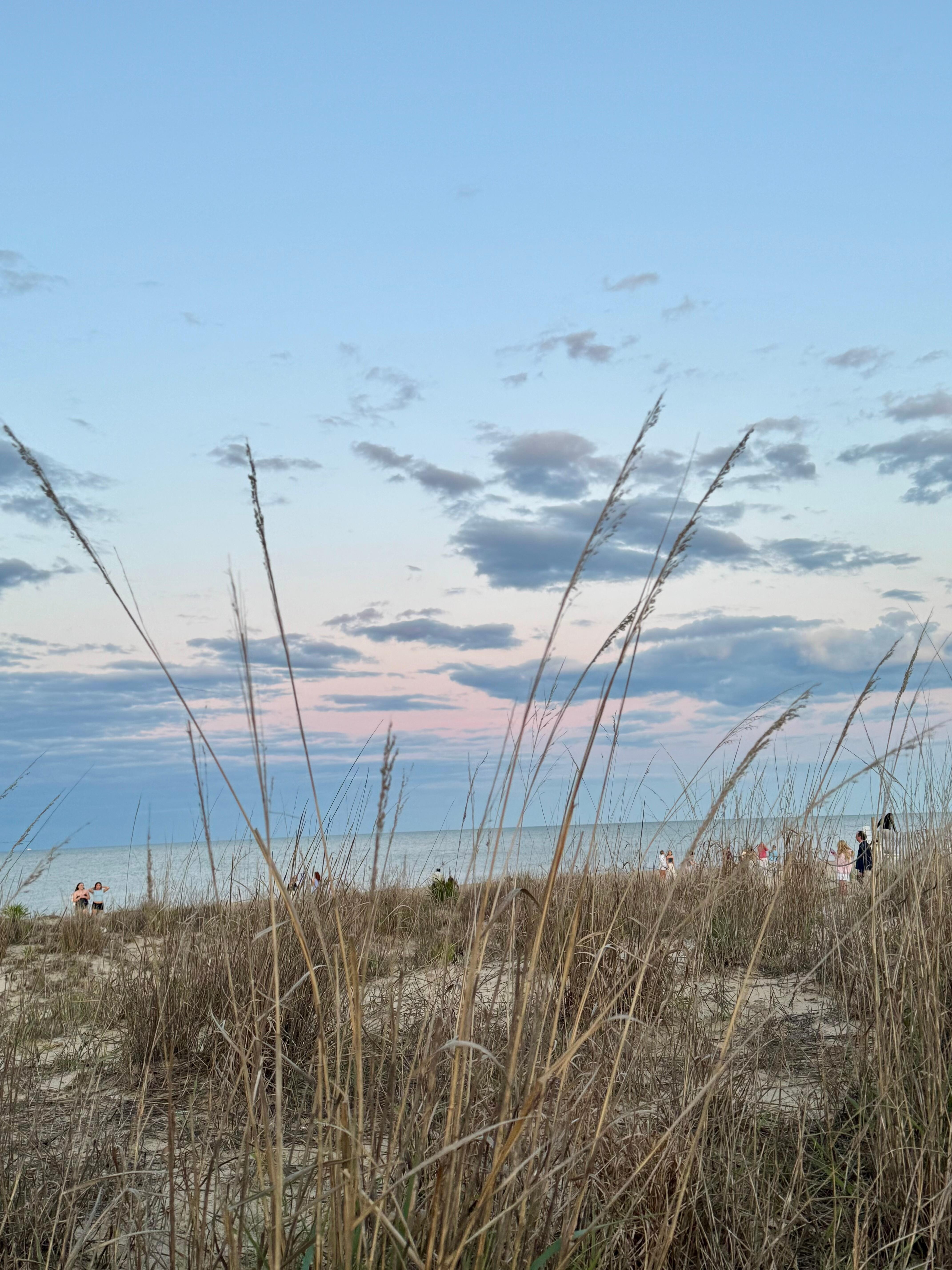 Cape Henlopen