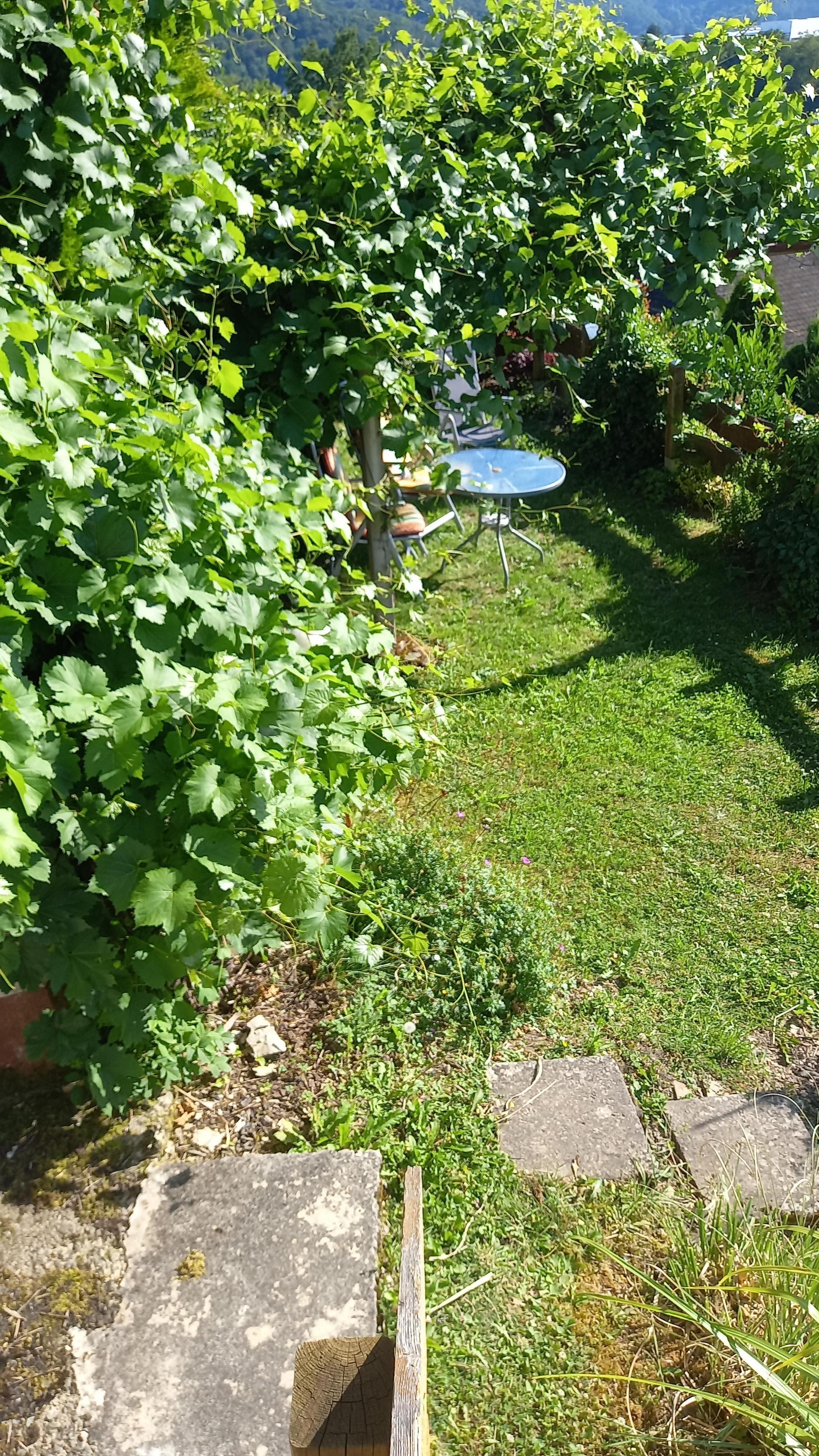 Die Laube lädt zum verweilen ein.