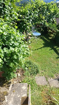 Die Laube lädt zum verweilen ein.