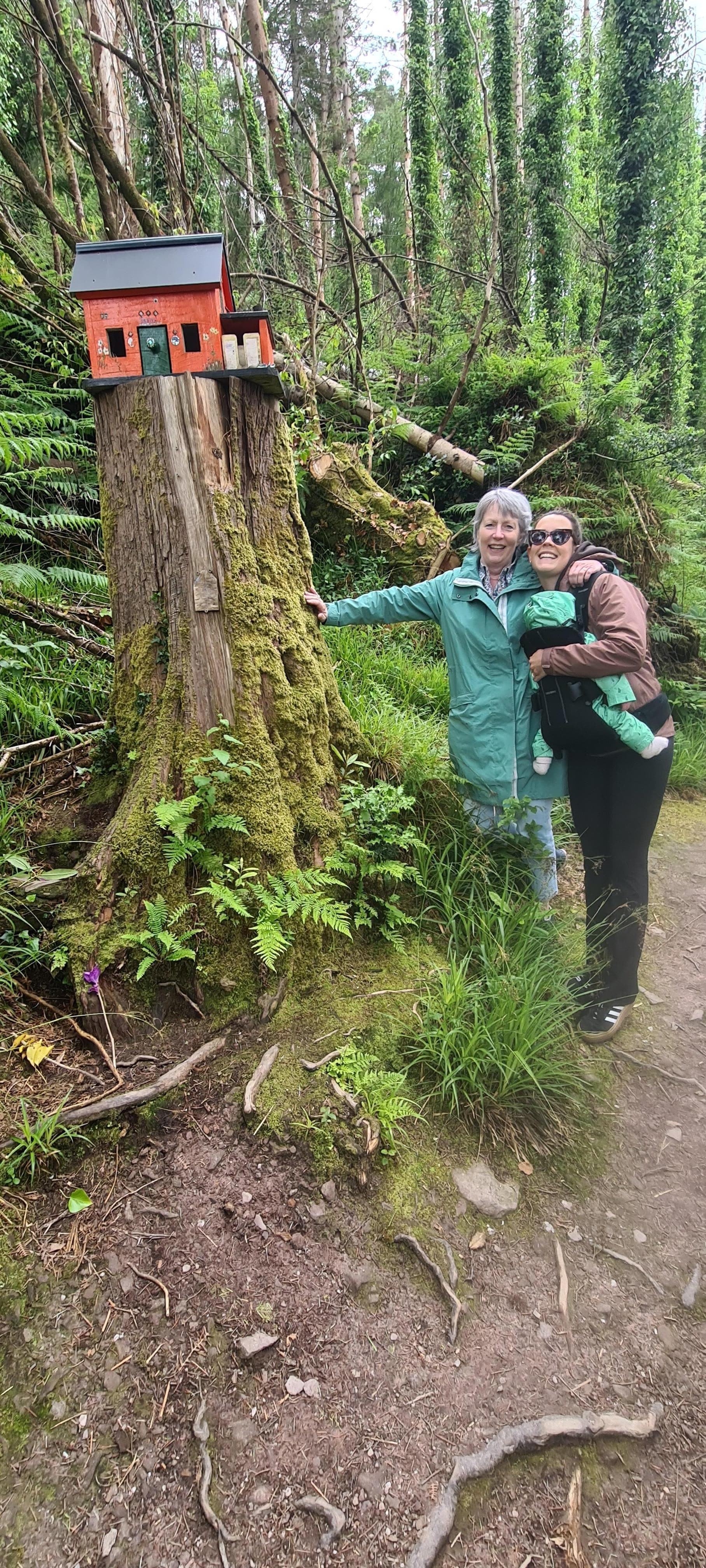 Glenbeigh Fairy Forest