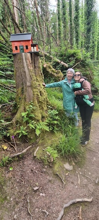 Glenbeigh Fairy Forest