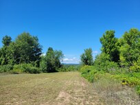 View from a walk on the grounds
