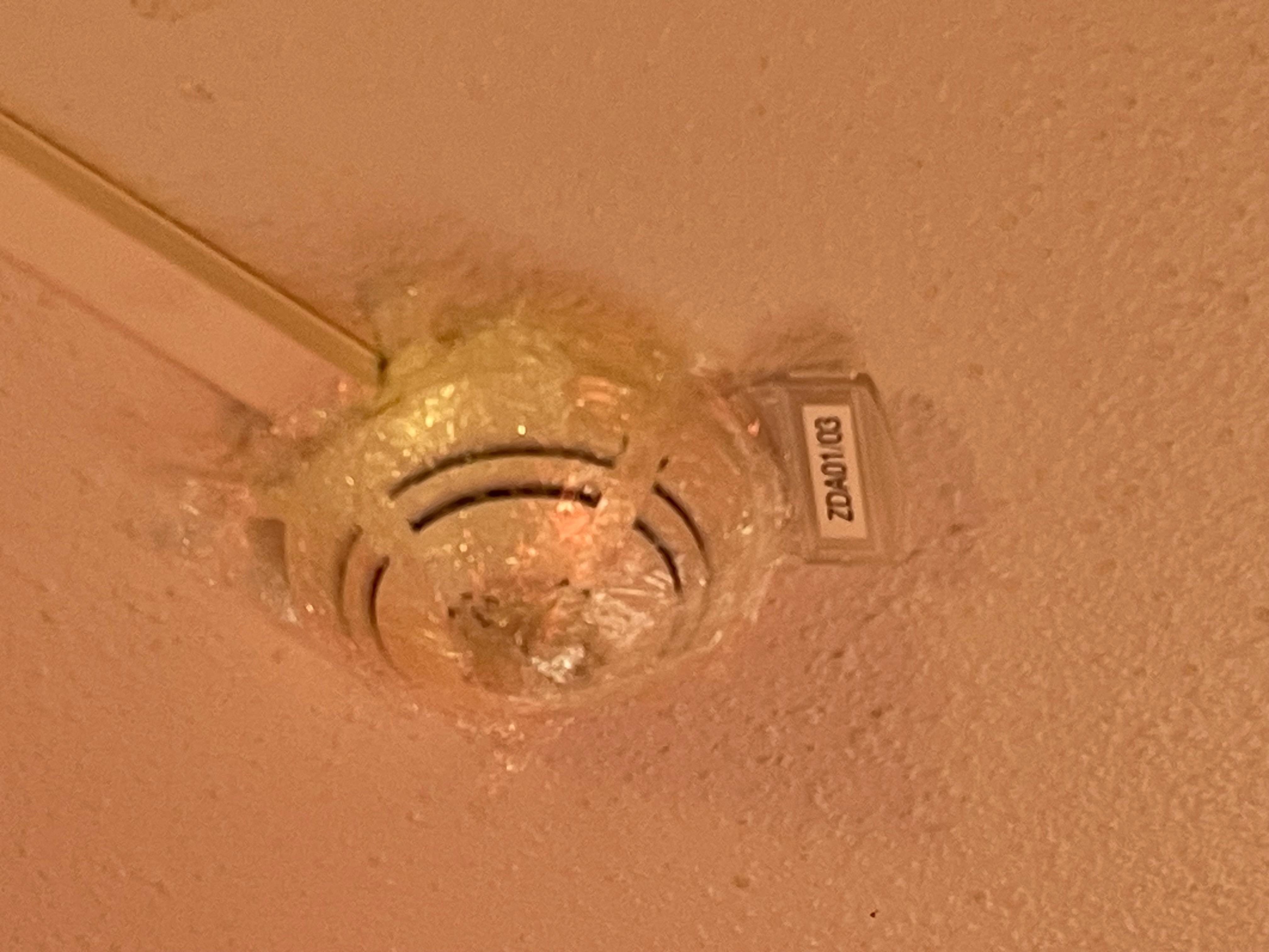 Déclencheur de fumée obstrue