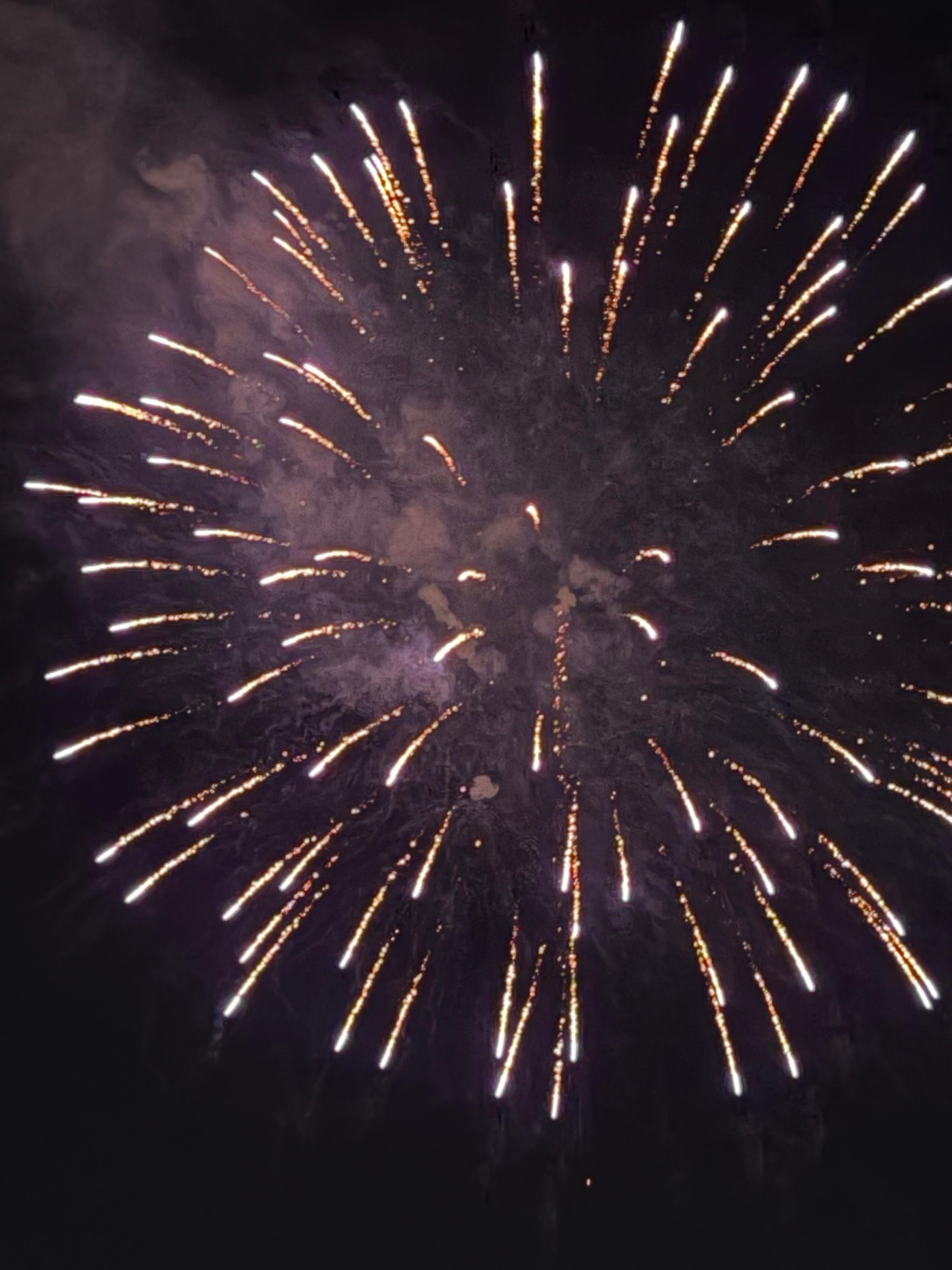 Fourth fireworks at the park. 