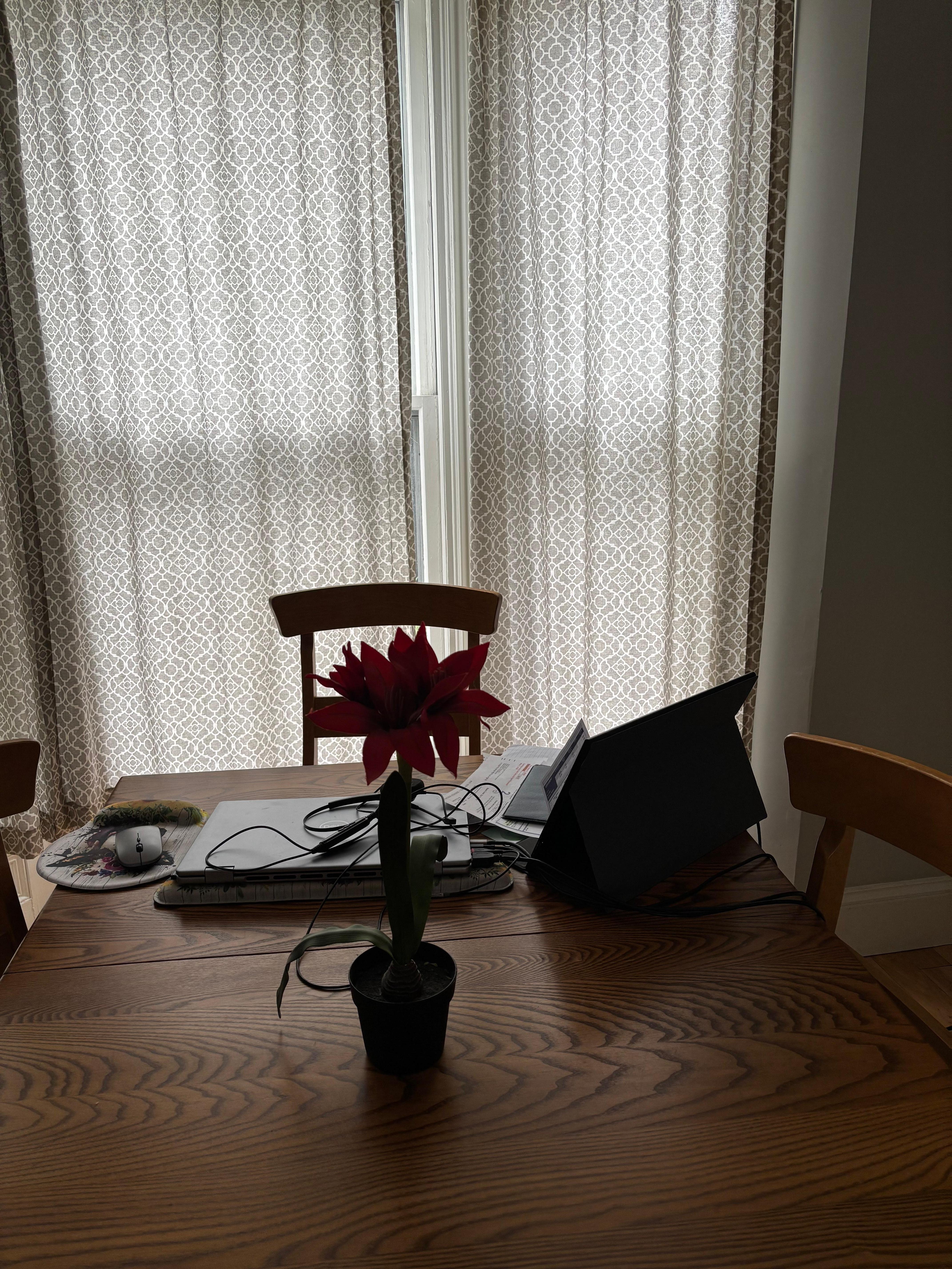 Dining room work station