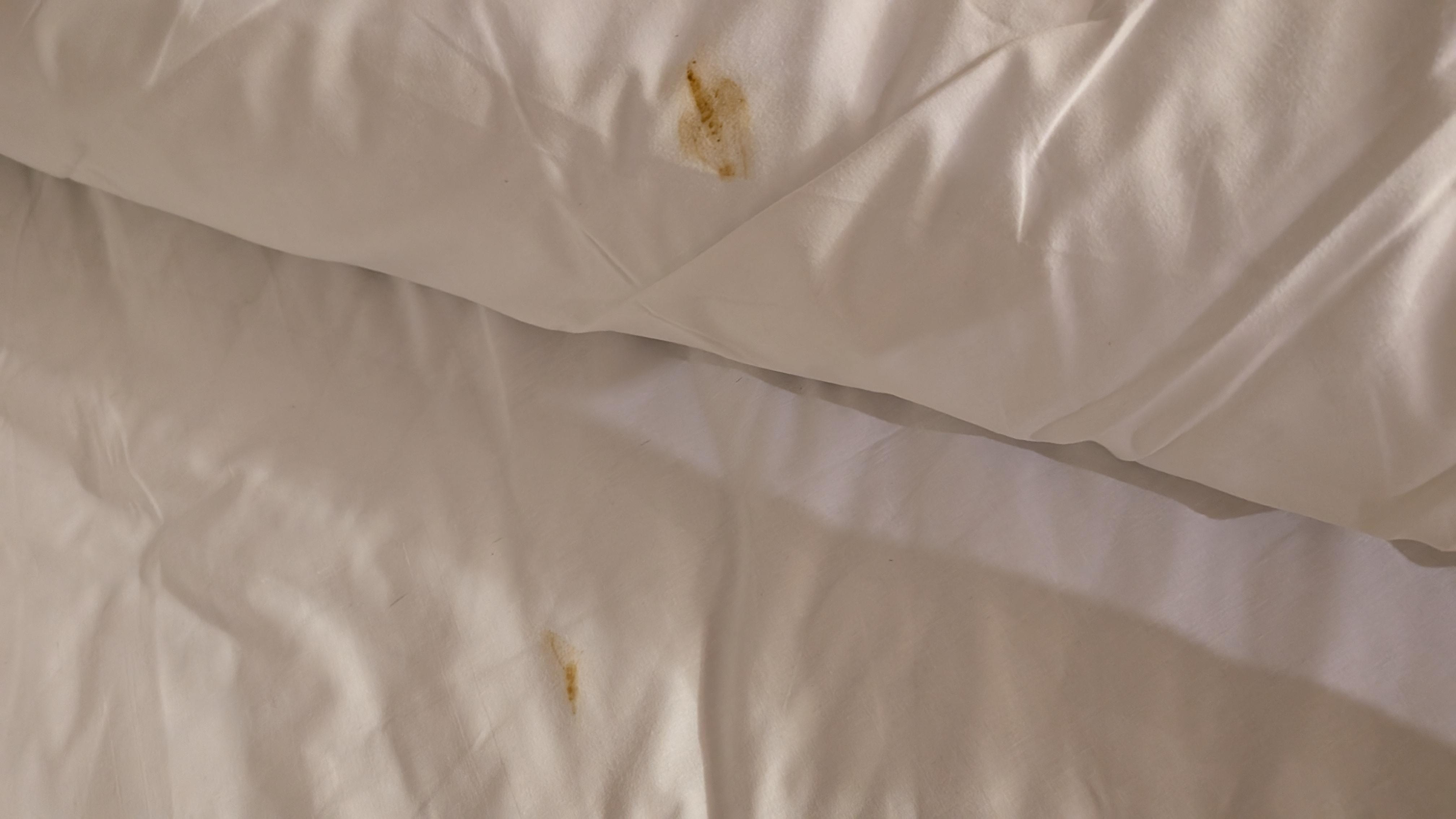 Soiled bedding
