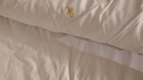 Soiled bedding