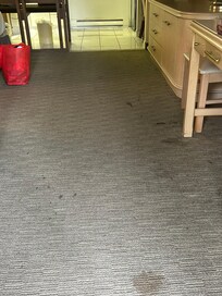 Stained carpeting