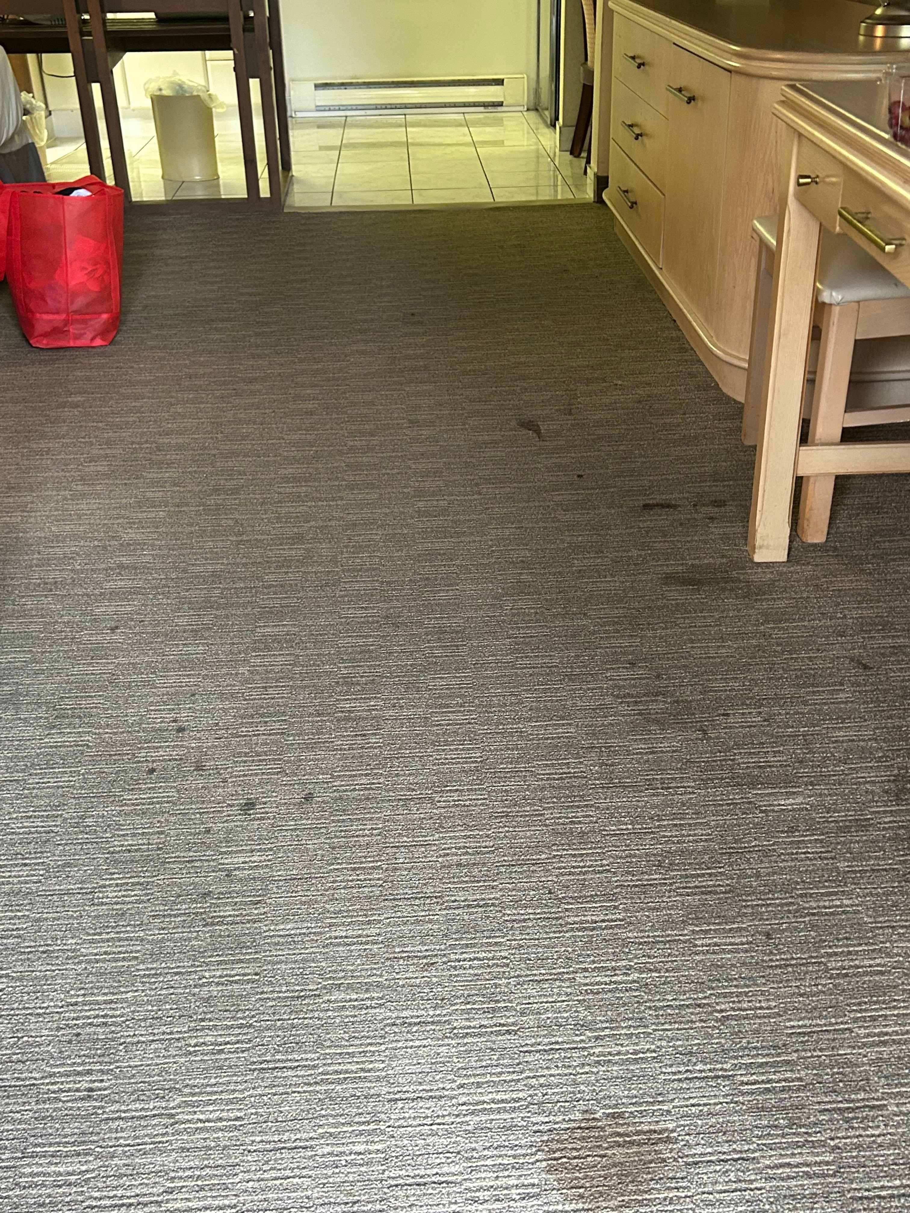 Stained carpeting