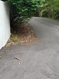 Copperhead snake in the driveway of the property