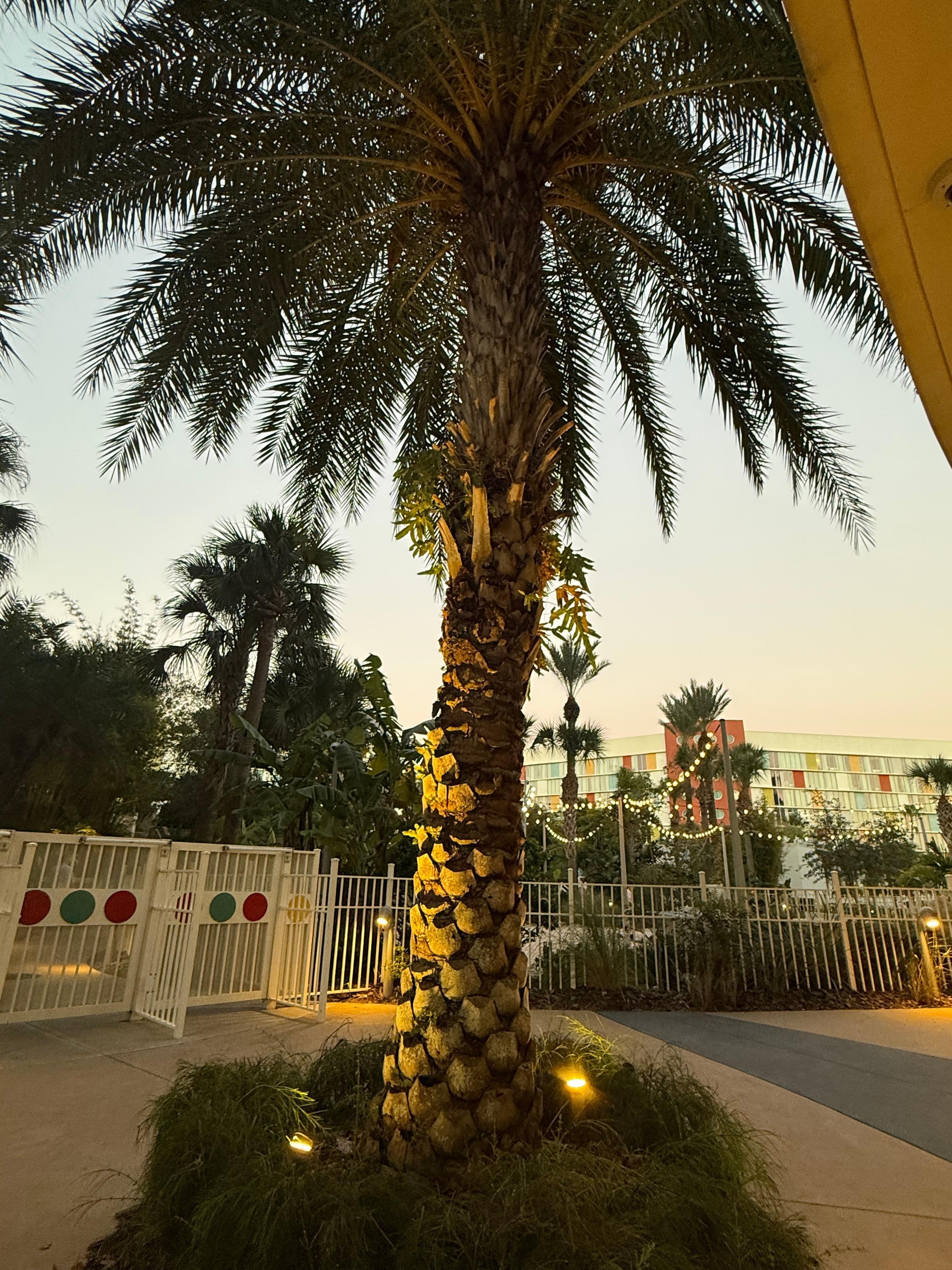 Beautiful scenery around entire hotel