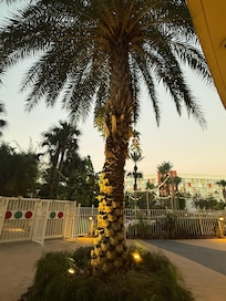 Beautiful scenery around entire hotel