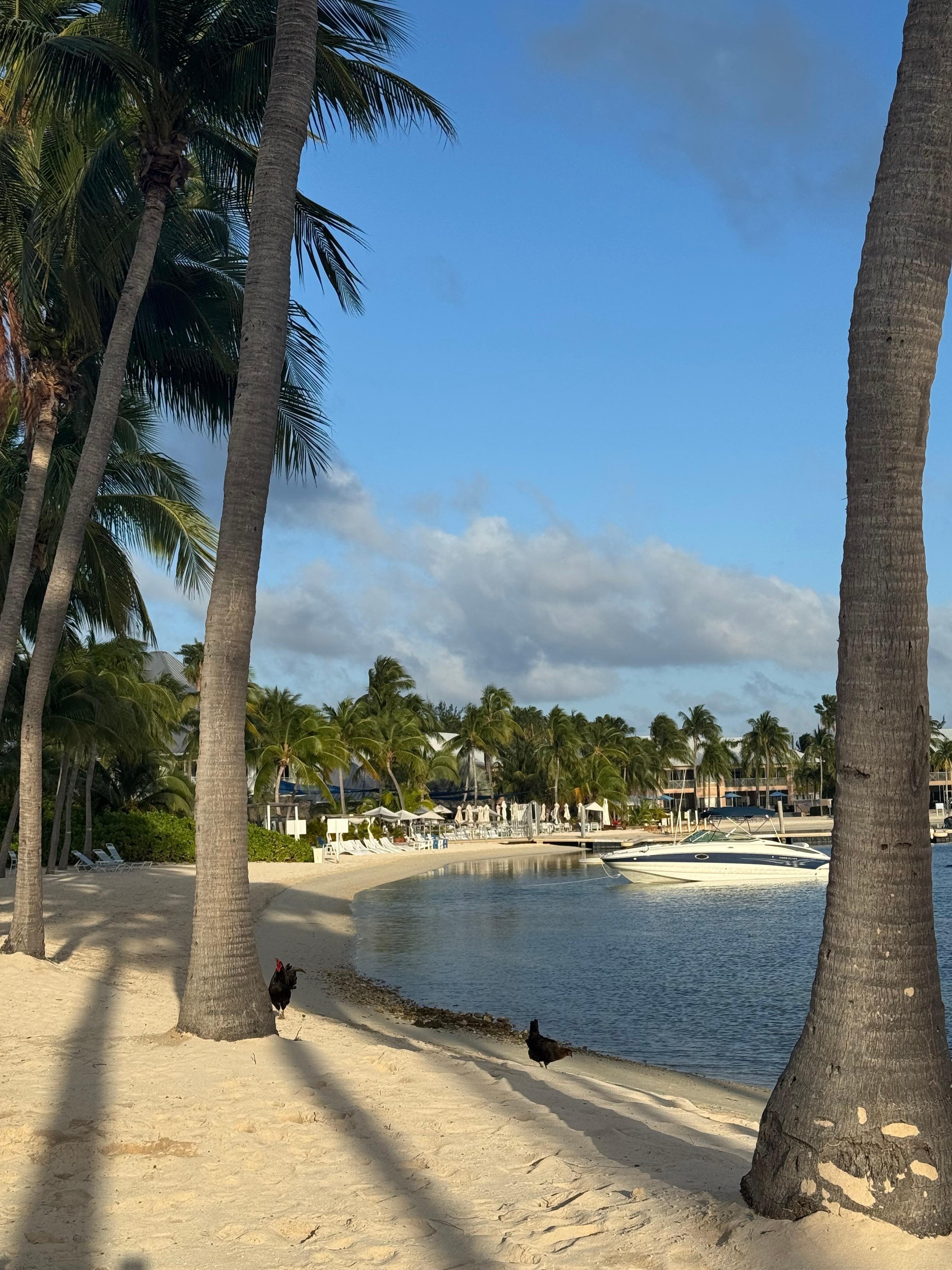 View looking towards Kaibo