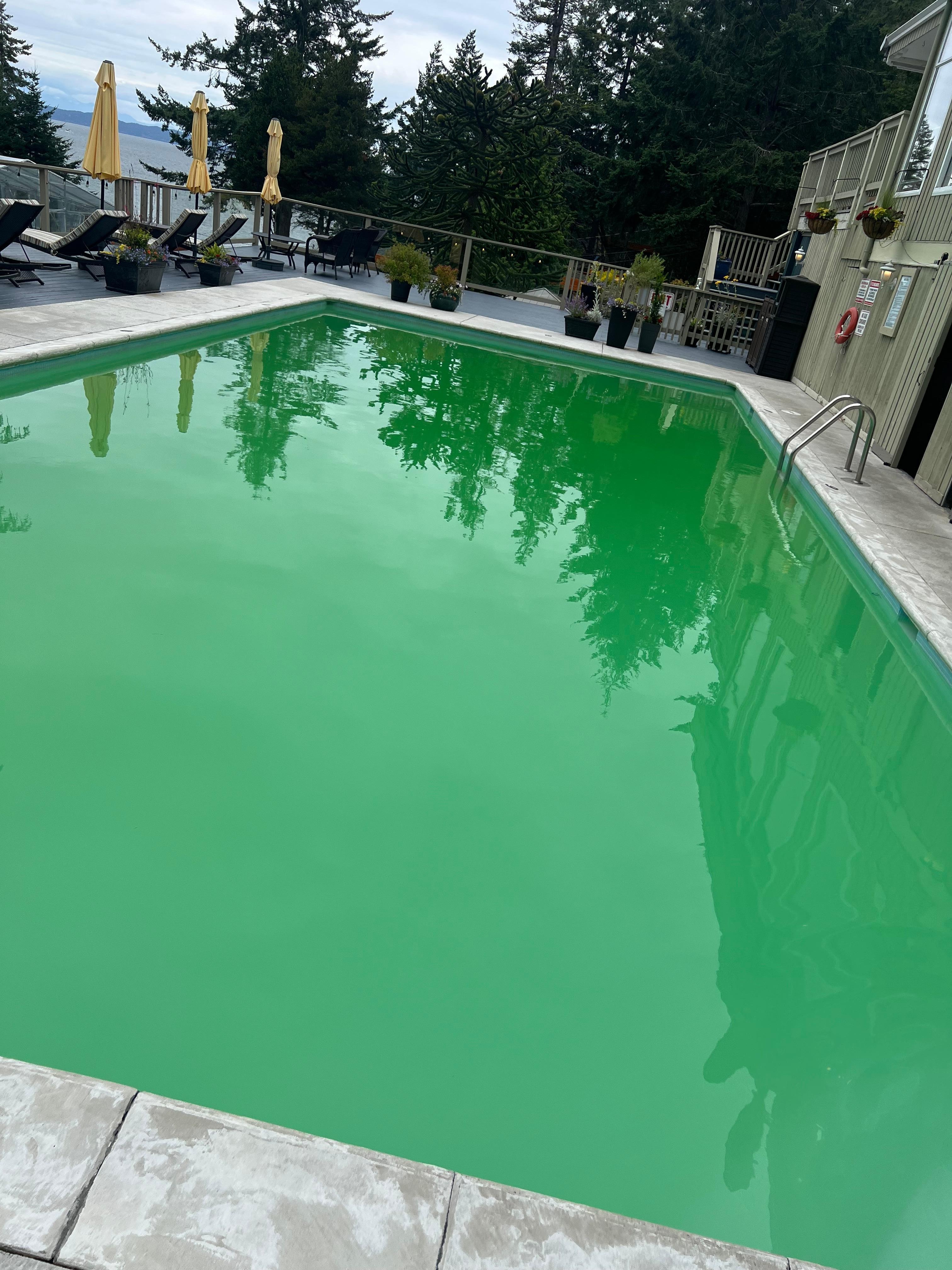 Cloudy water, vs photo online that shows logo at the bottom