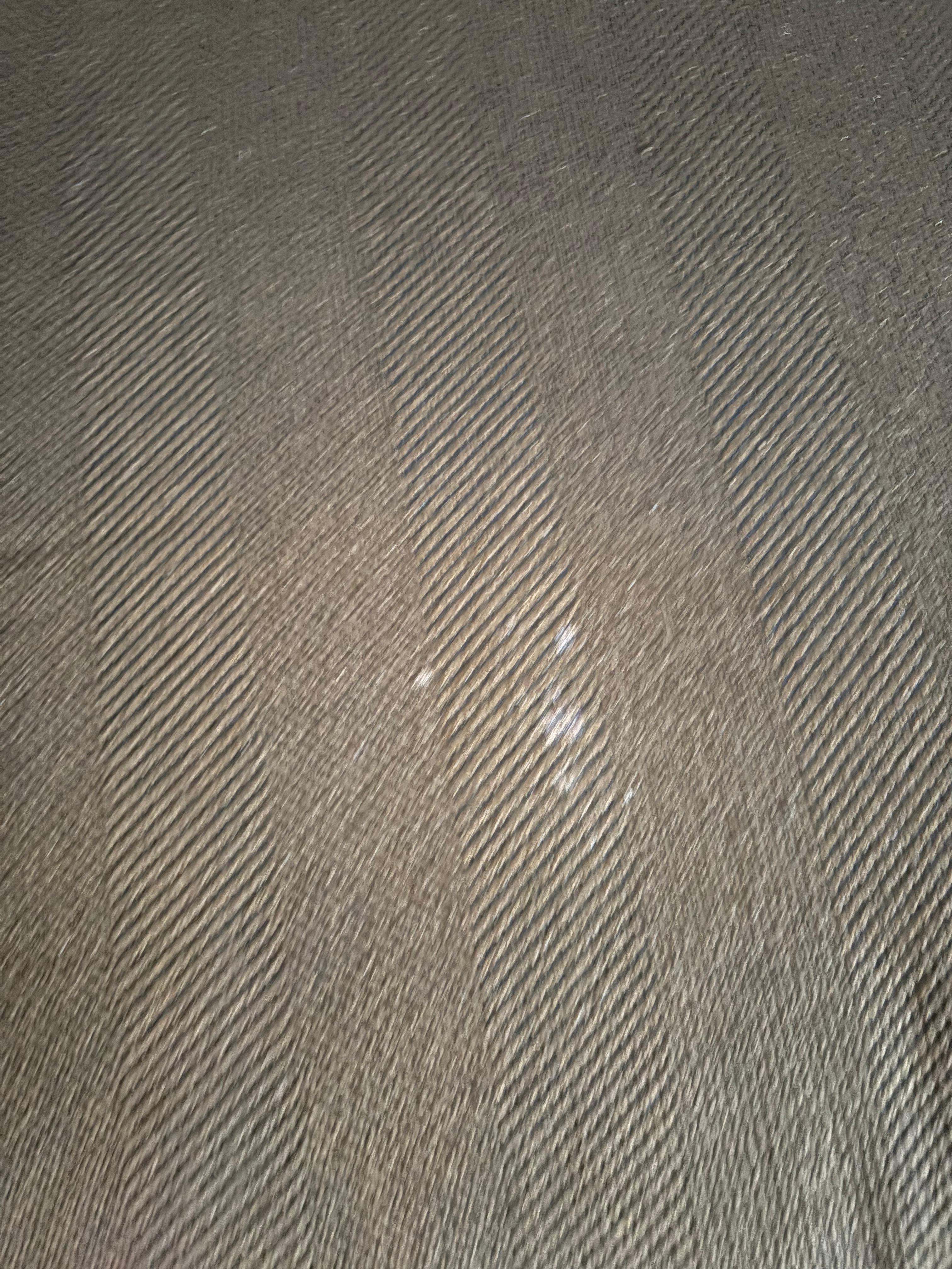Couch cushion 