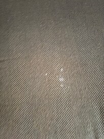 Couch cushion