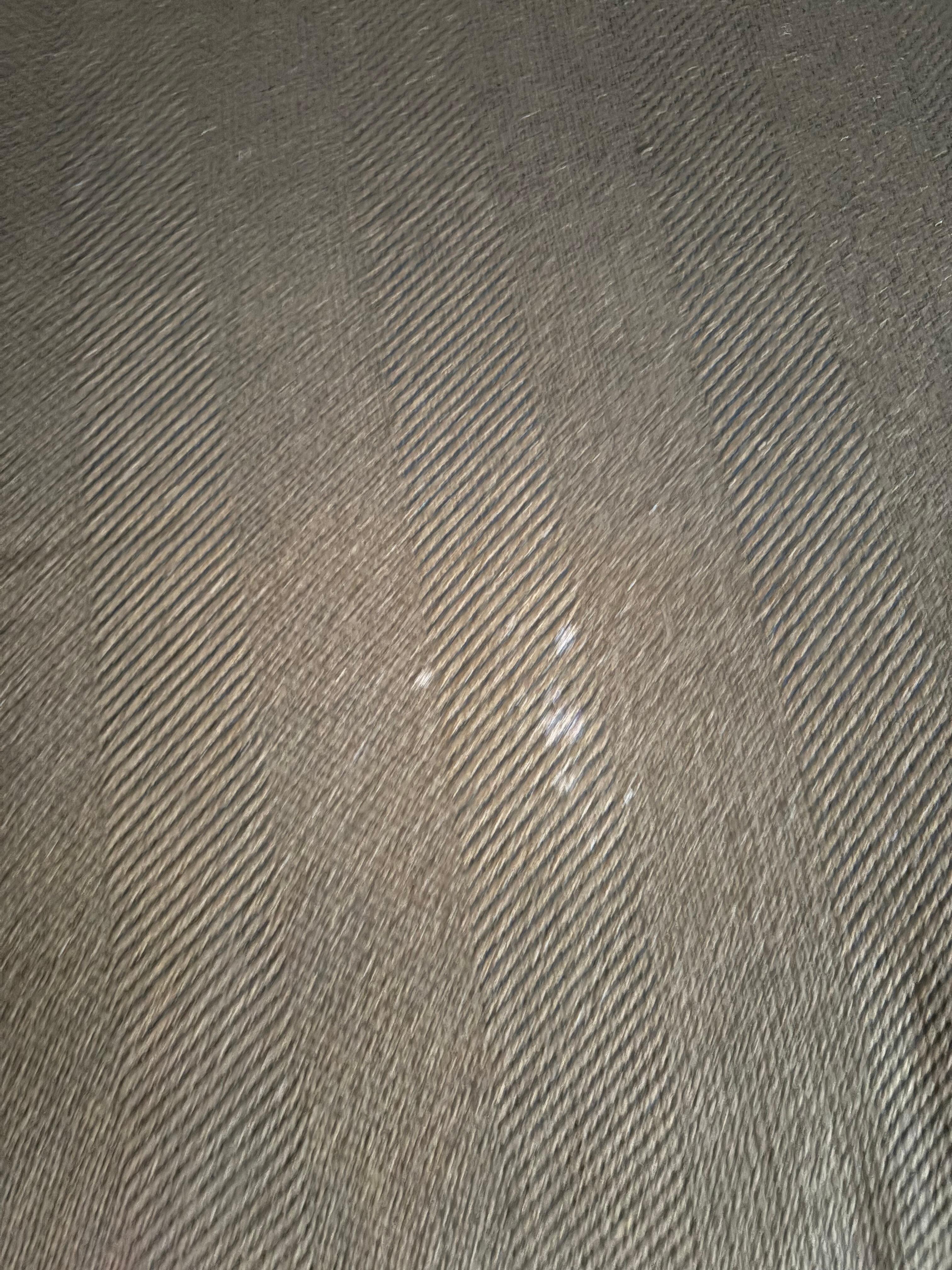 Couch cushion 