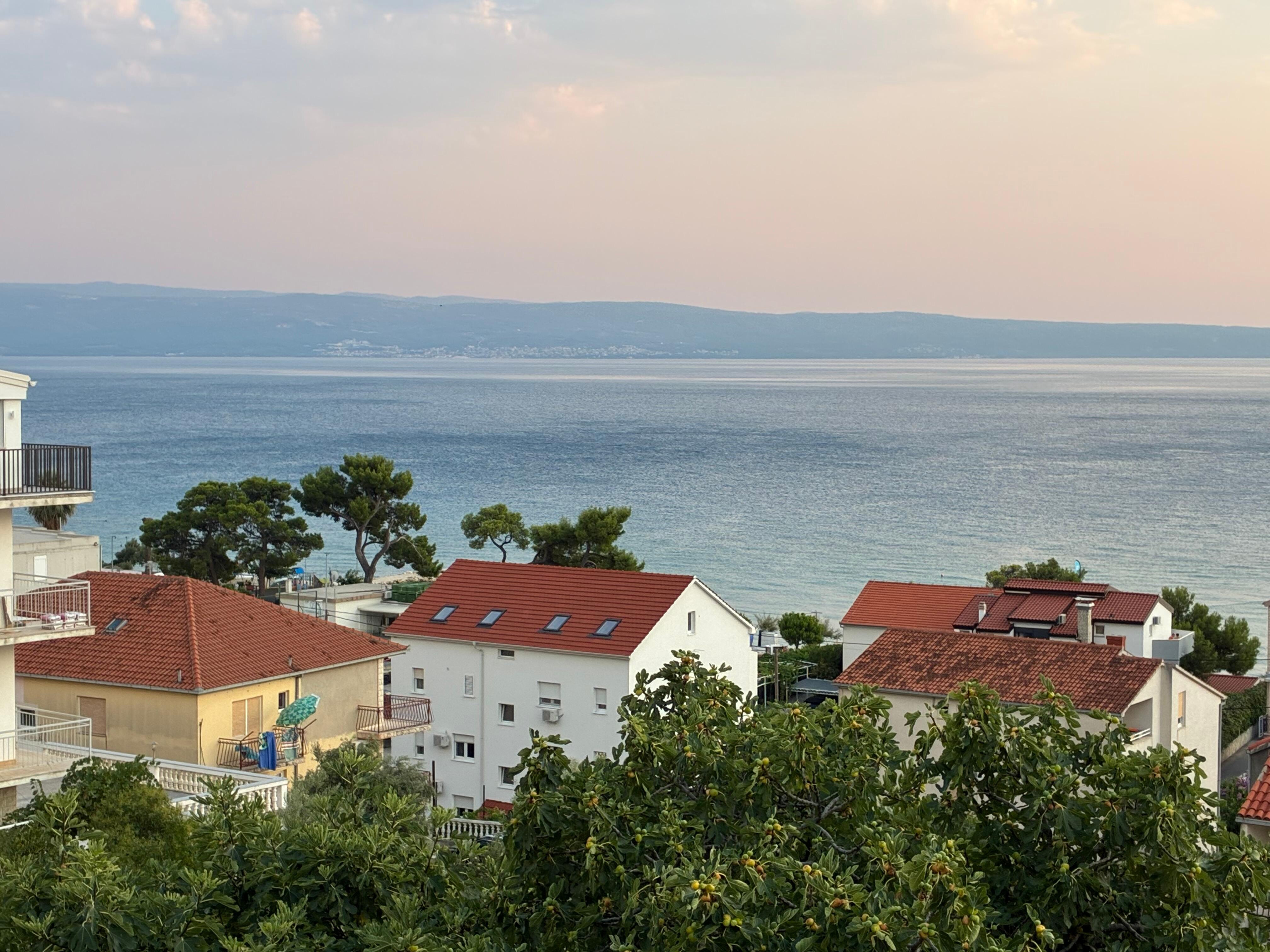 Uitzicht vanuit tuin