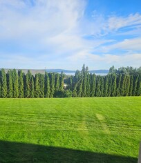 View from 2nd floor room.