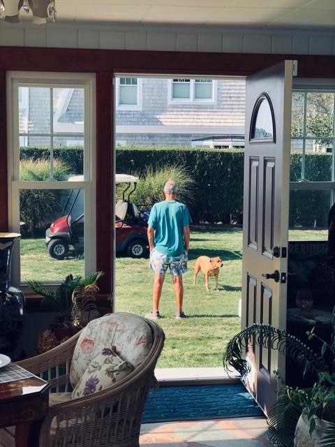 Opened porch door for breeze :  then his two unleashed dogs ran into and through out the home.