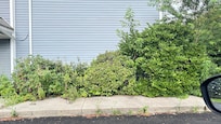 Outside