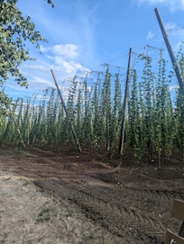 Mit dem Traktor und dem Bauer durch die Felder. Fragen stellen erwünscht!