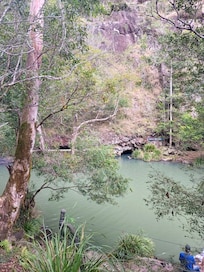 Kondalilla Falls