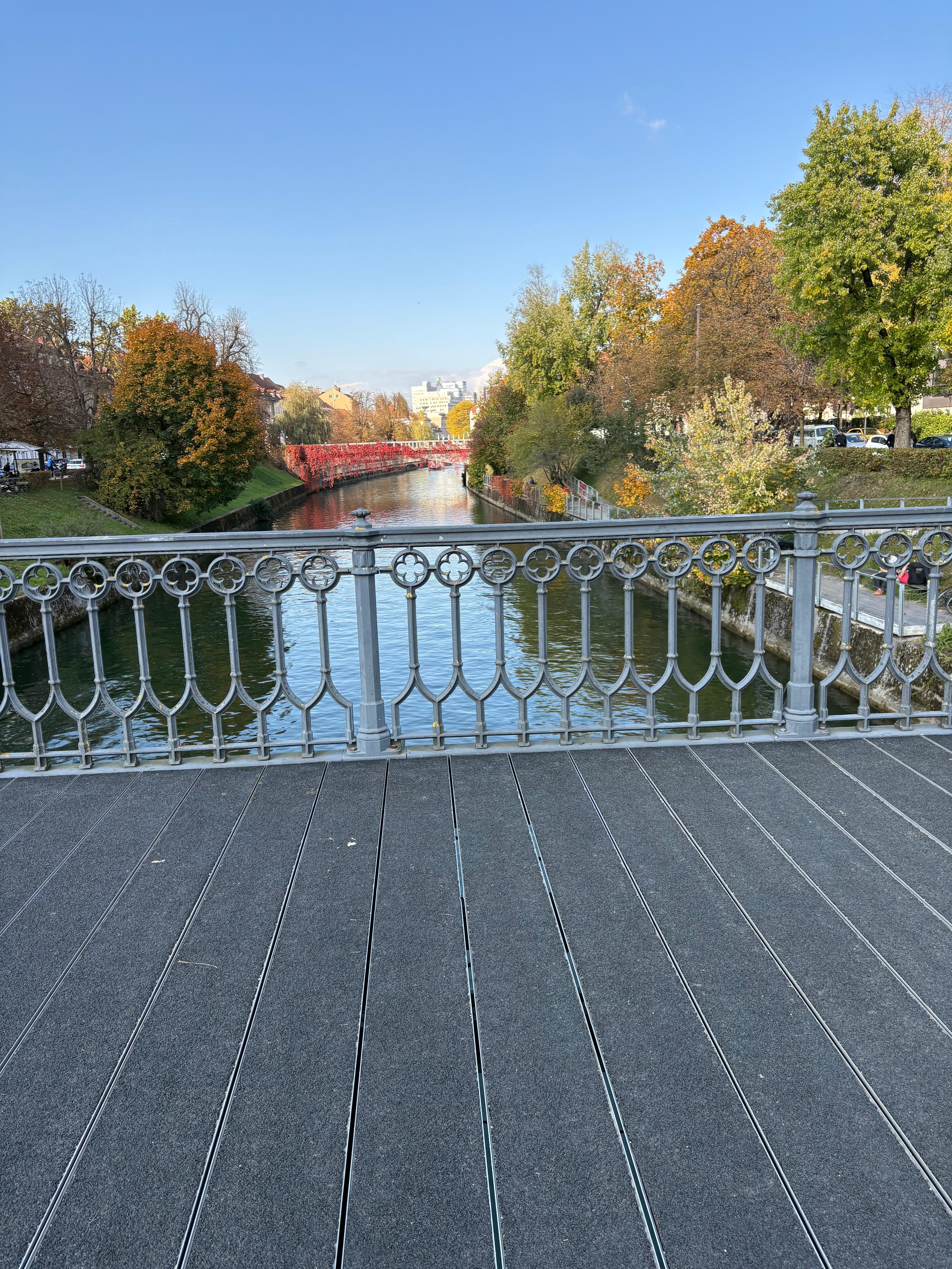 One of the many bridges with the fall colours