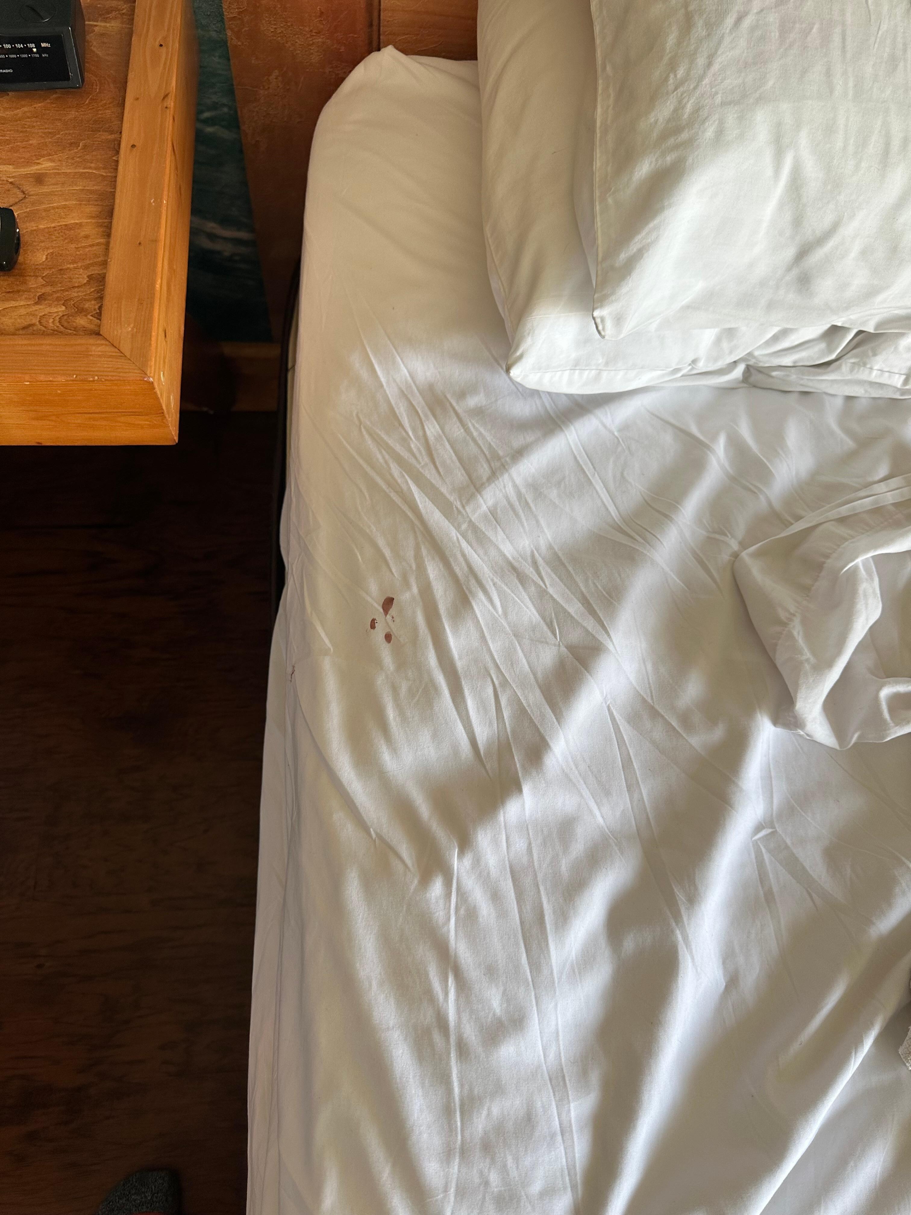 Blood Stan on bed