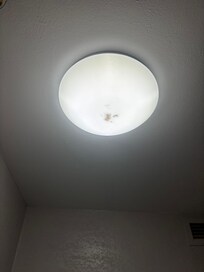 Dead bugs in light cover