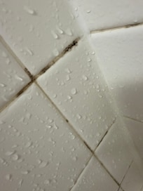Mold in the shower