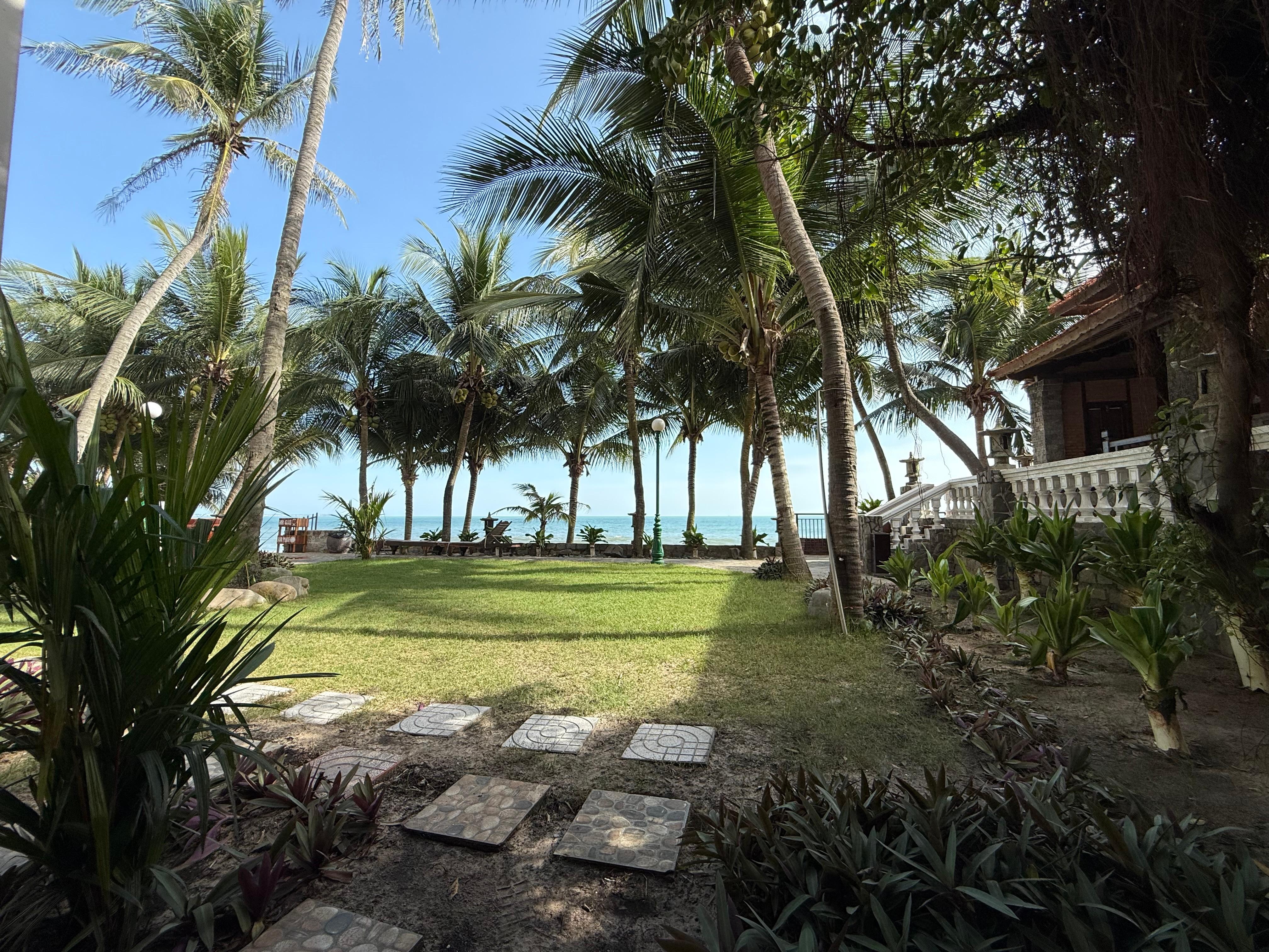 部屋からの眺め