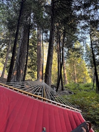 View from hammock