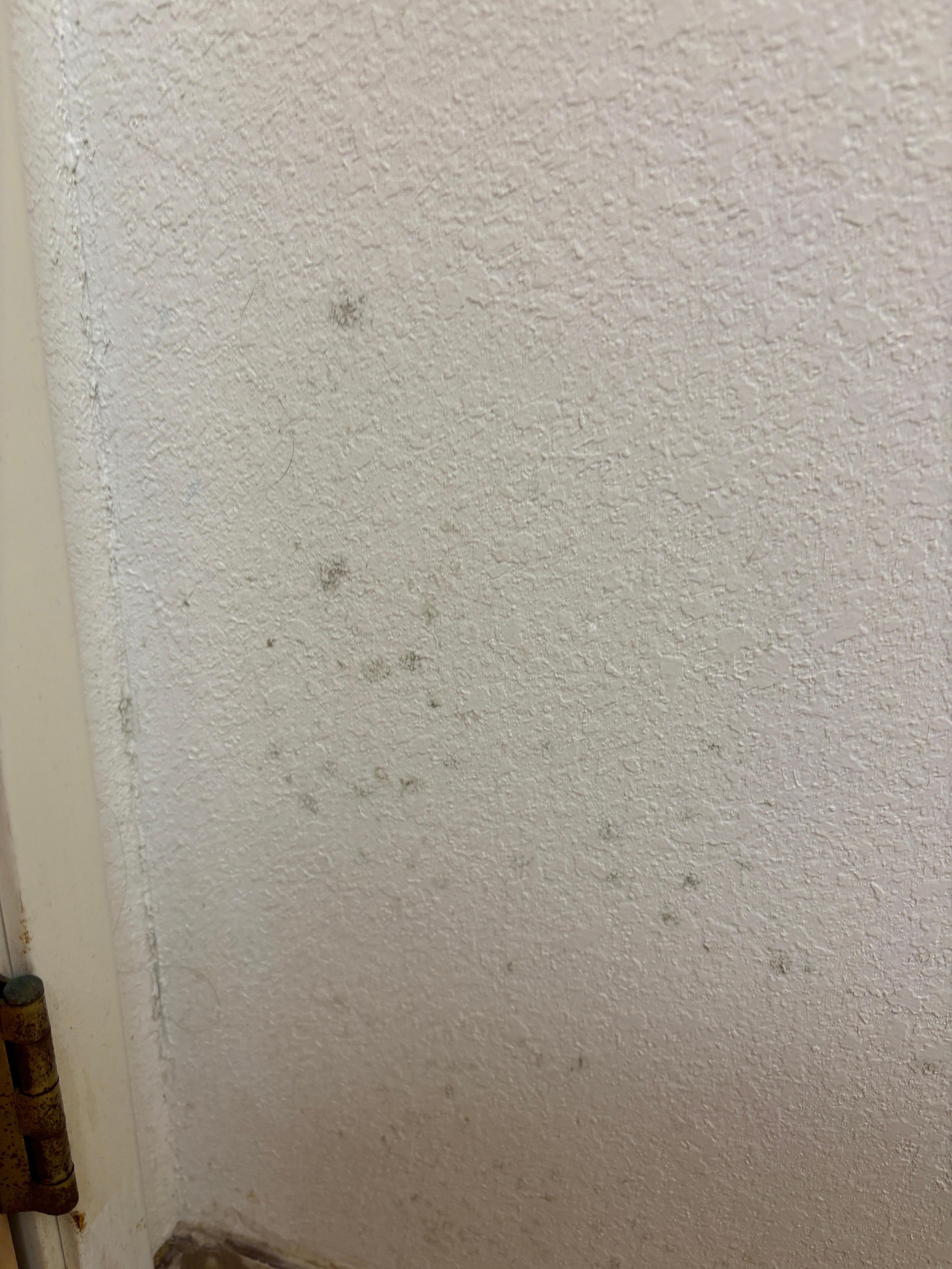 Mold