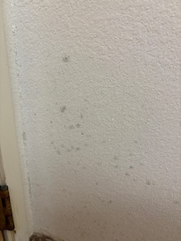 Mold