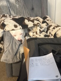 It’s too cold outside!!