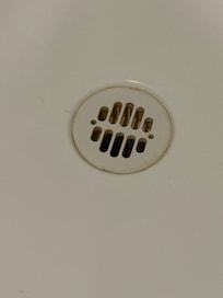 Smelled of sewage