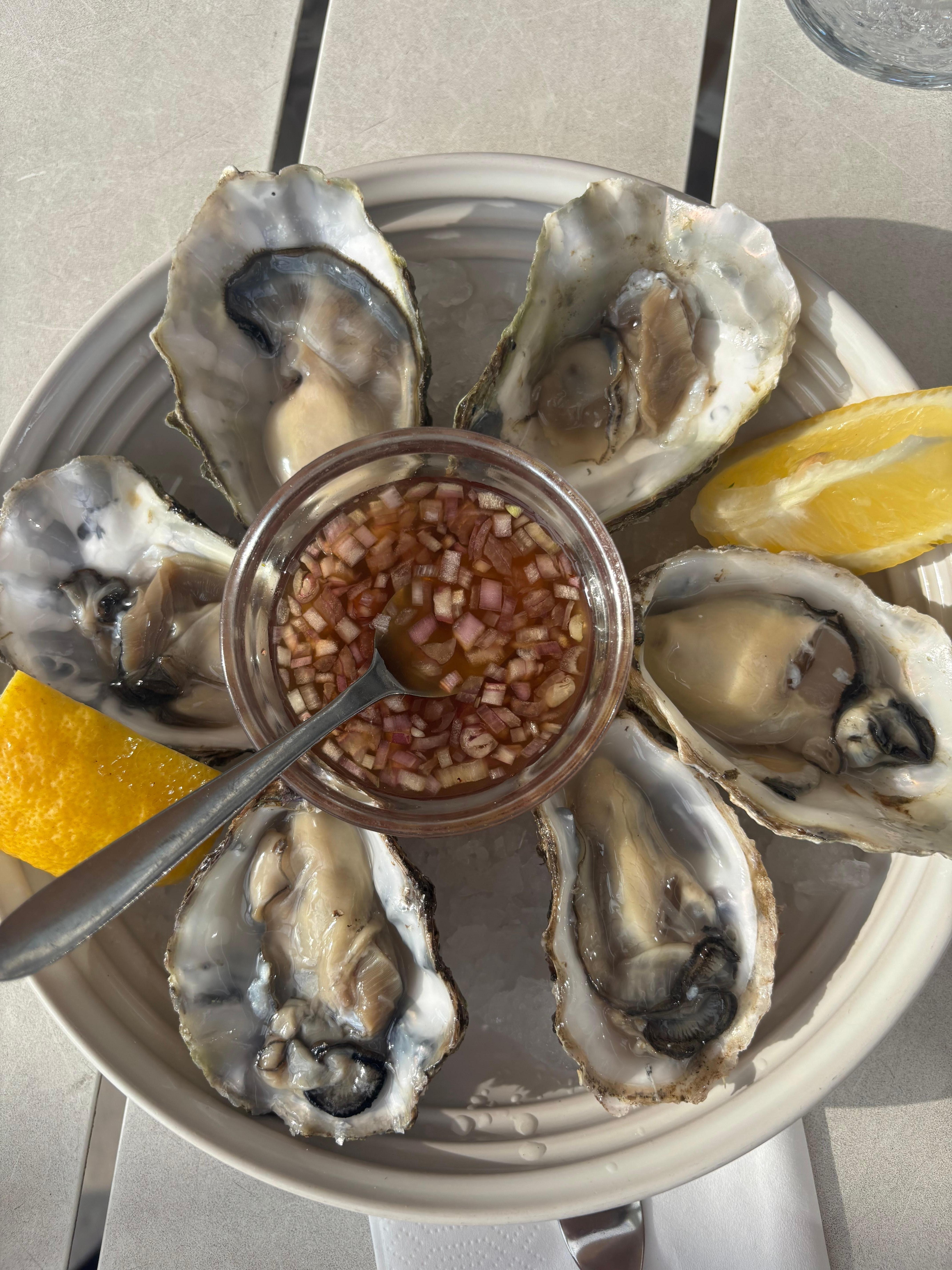 Oesters bij Noord
