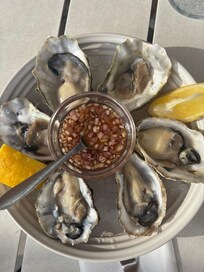 Oesters bij Noord